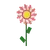 candy sunflower
