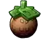 coco vine