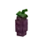 eggplant