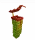 pitcher plant