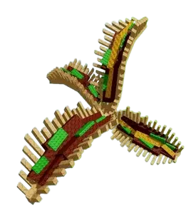 Taco Fern